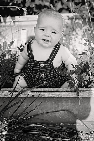 6months_tex004