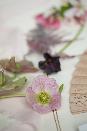 SpringFusion040