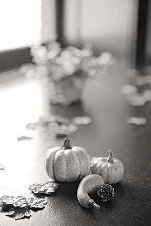 Houser020