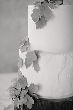 Houser028