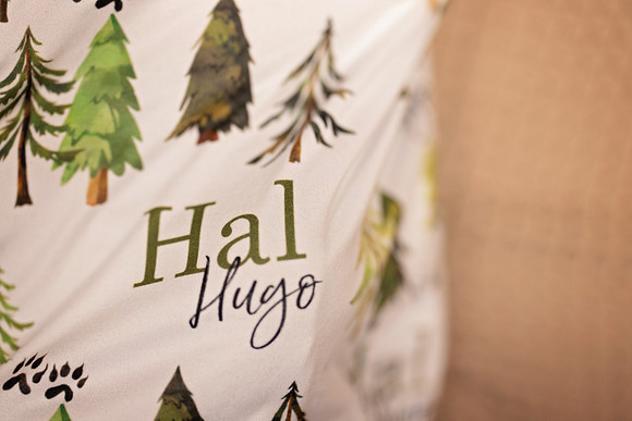 HalHugo013