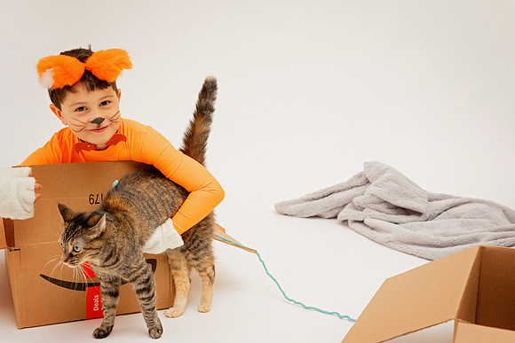 MeowyChristmas009