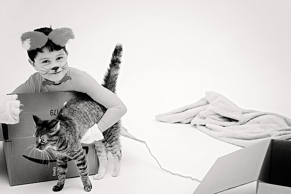 MeowyChristmas010
