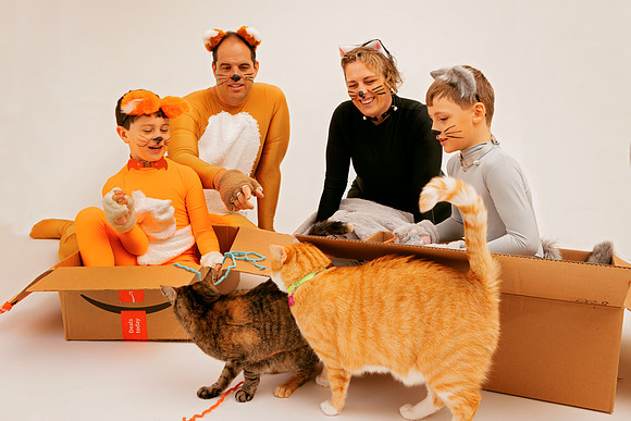MeowyChristmas011