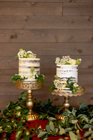 TheLodgeatCampRedCedar_J3DesignsPhotography_FortWayneWeddings_FortWayneWeddingVenues_FortWayneWeddingPhotographers003