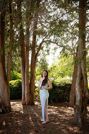 TheCrossing_prom054